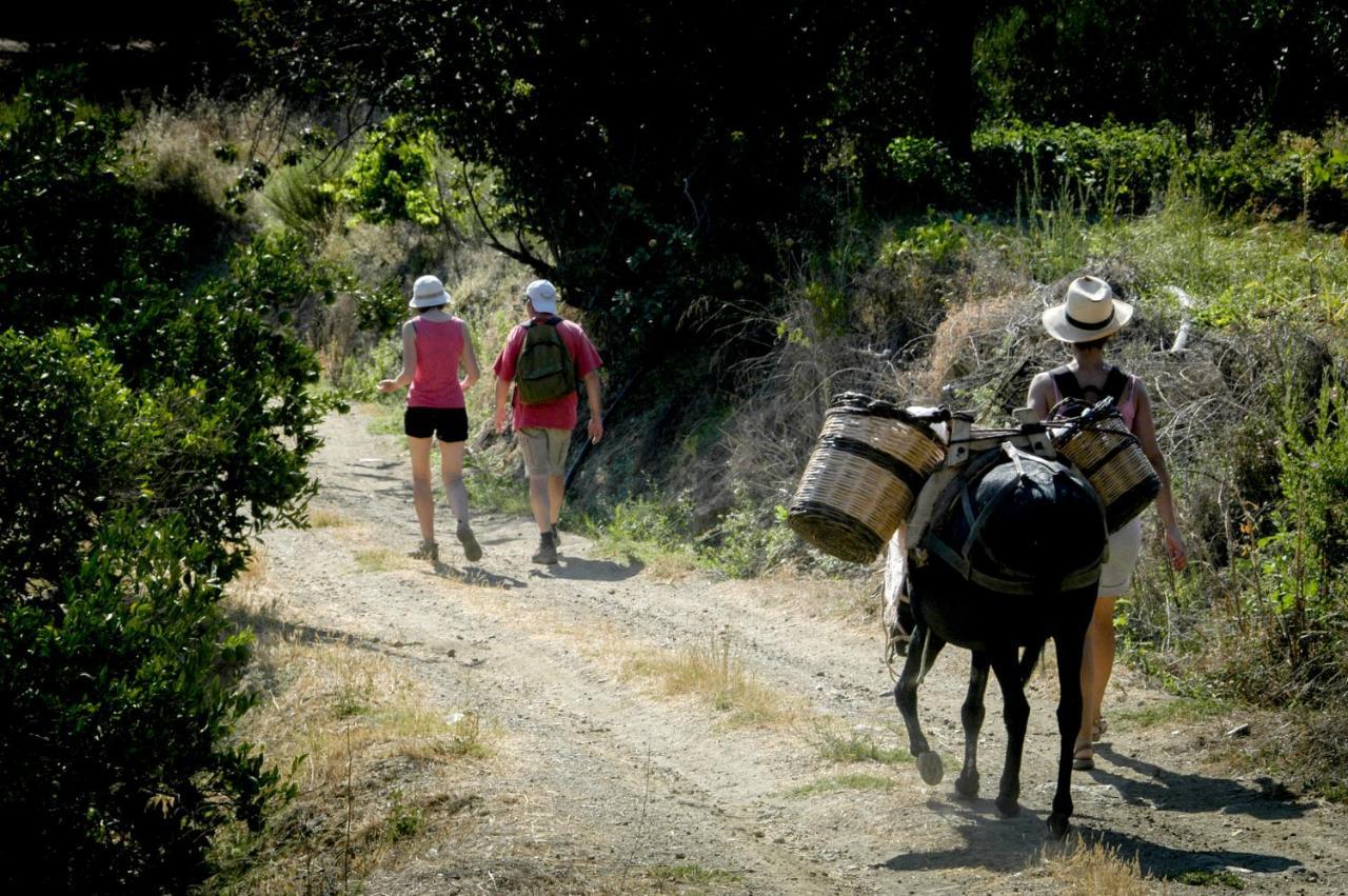 Enagron Ecotourism Village Axós Екстериор снимка